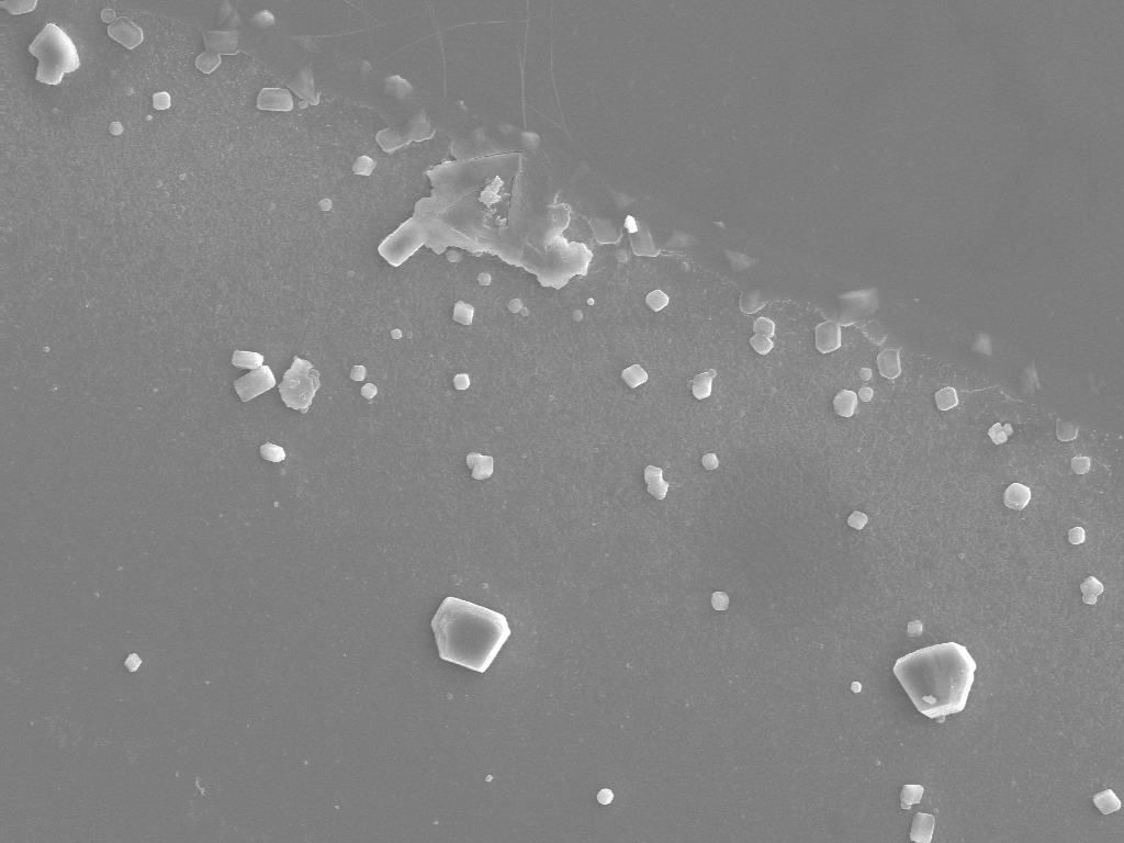 Foto einer Mikroskopaufnahme von Kalkkristallen aus aqua blue Wasser